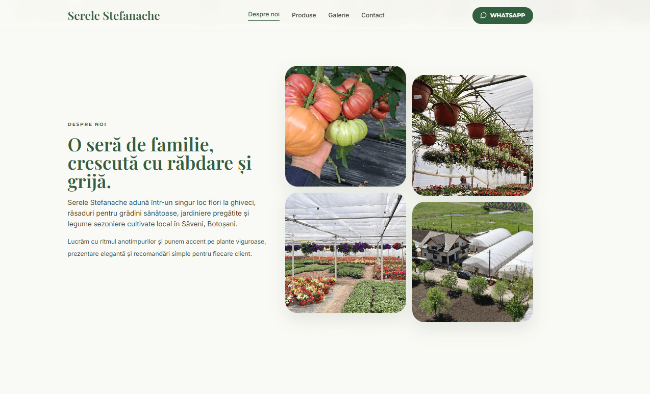 Serele Stefanache About Us screenshot