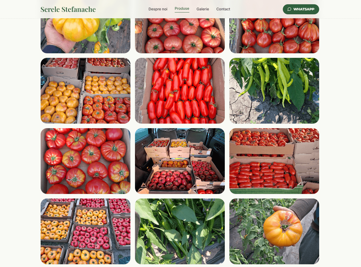Serele Stefanache Greenhouse Gallery screenshot