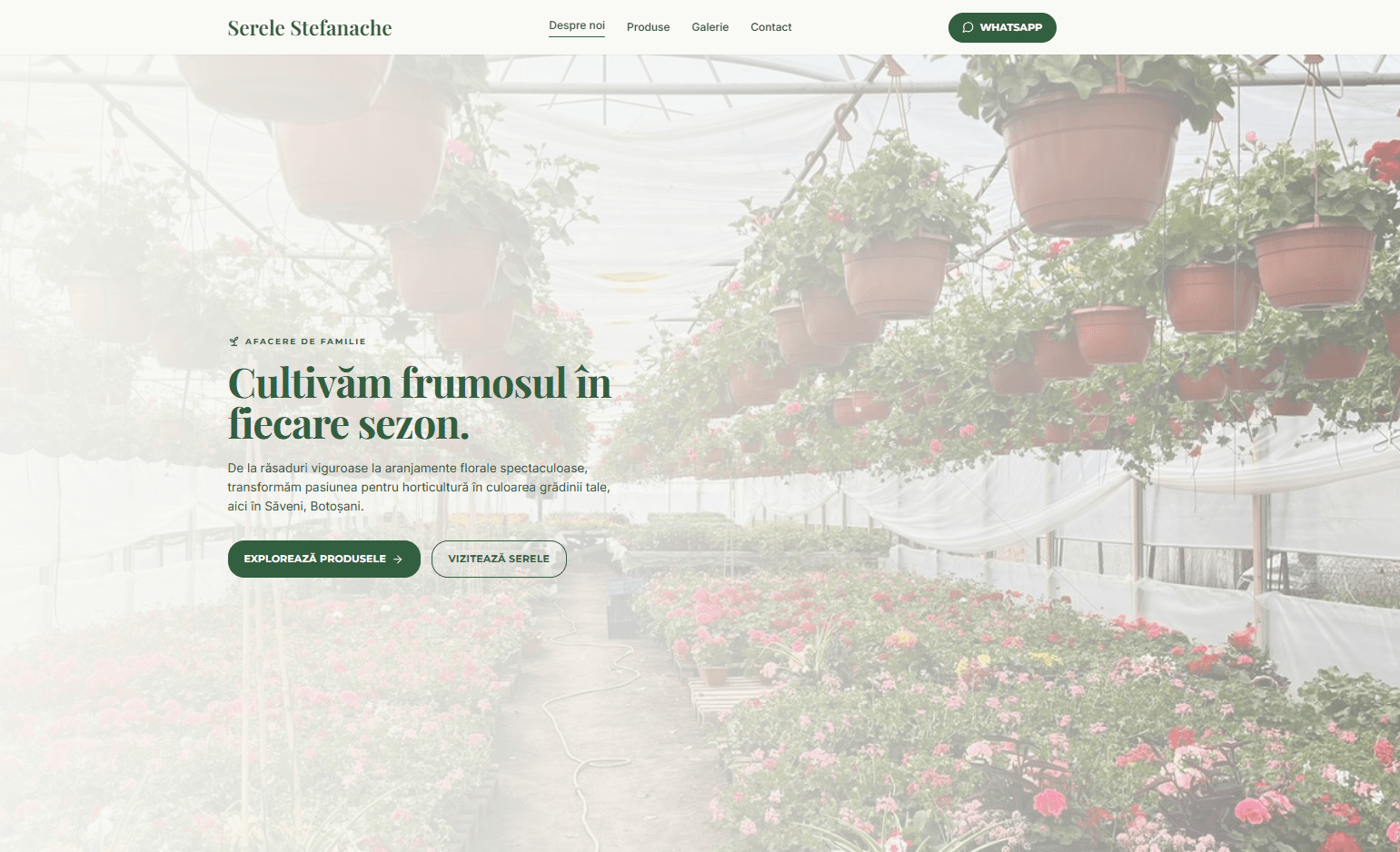 Serele Stefanache Homepage screenshot