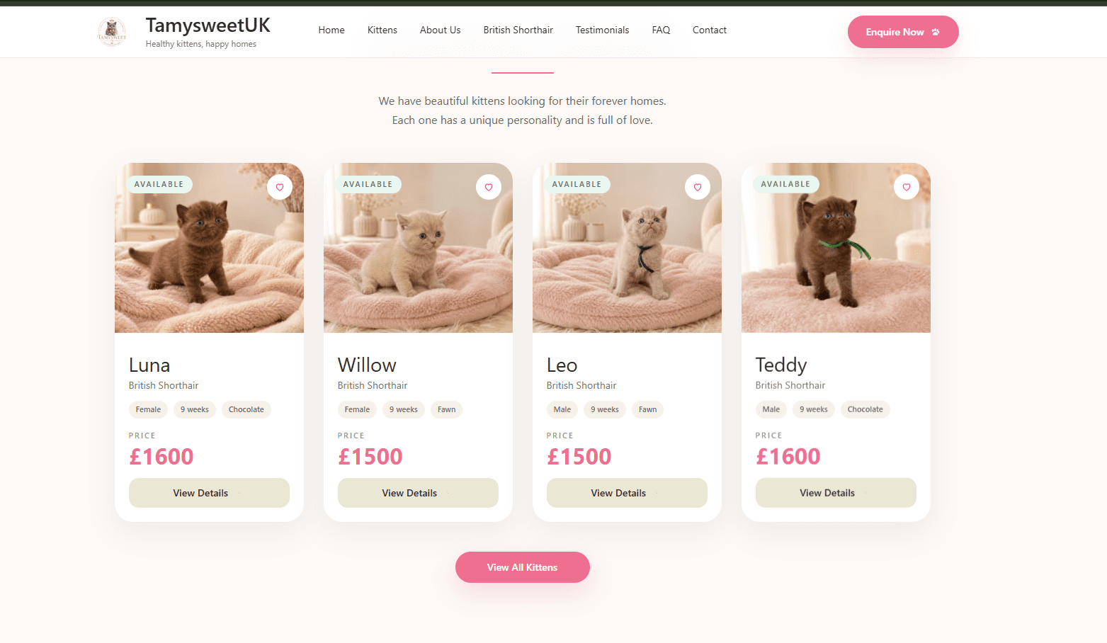 TamysweetUK Breeder Platform Featured Kittens screenshot